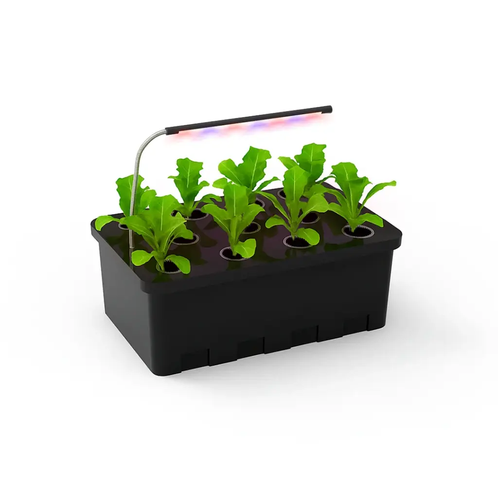 Hydroponic Indoor Greenhouse Cloner L11 – LED Propagation Station With Light and Nutrients