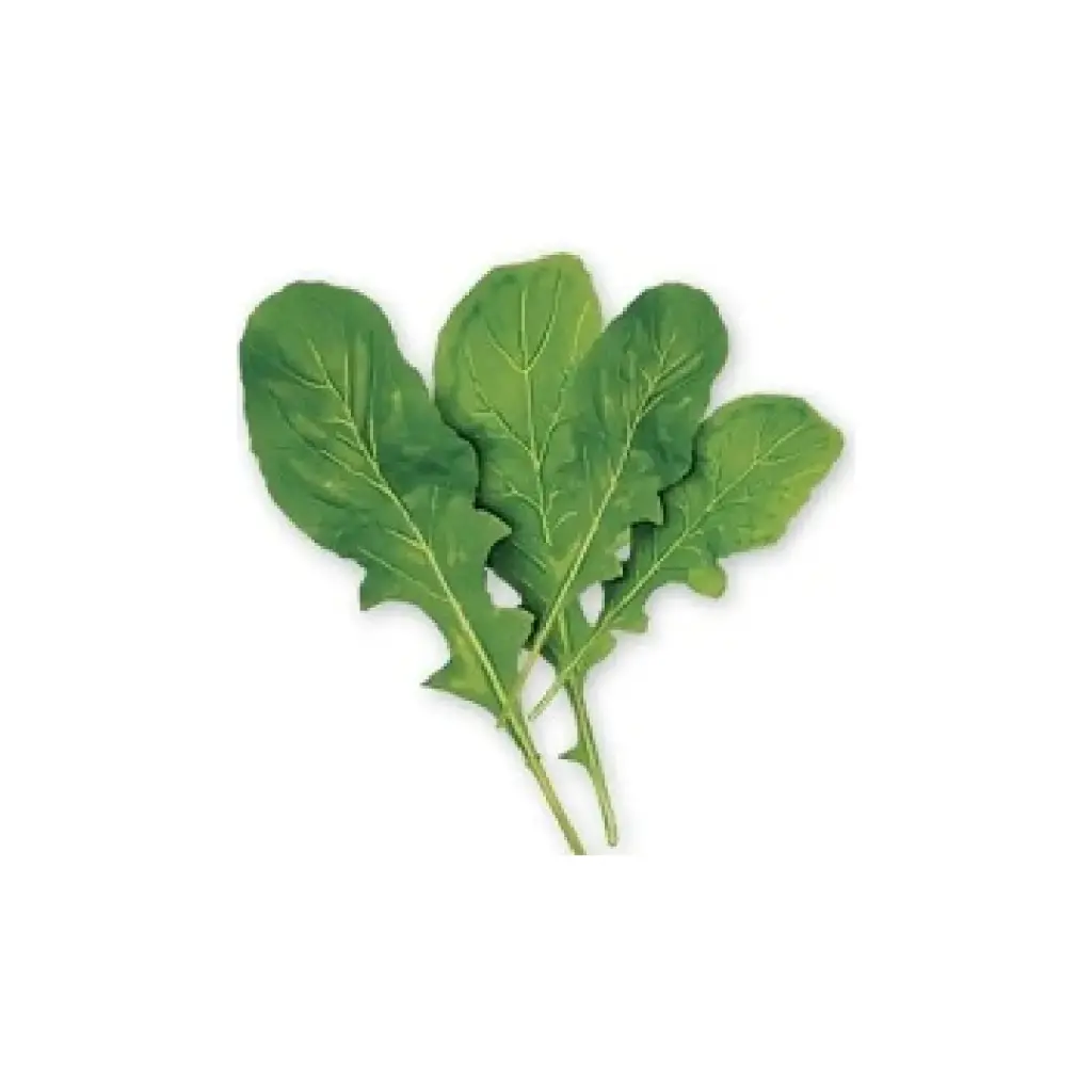 Arugula