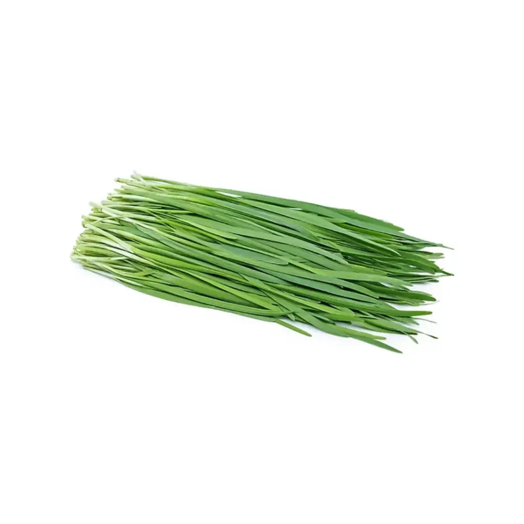 Chives (copy)