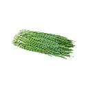 Chives (copy)